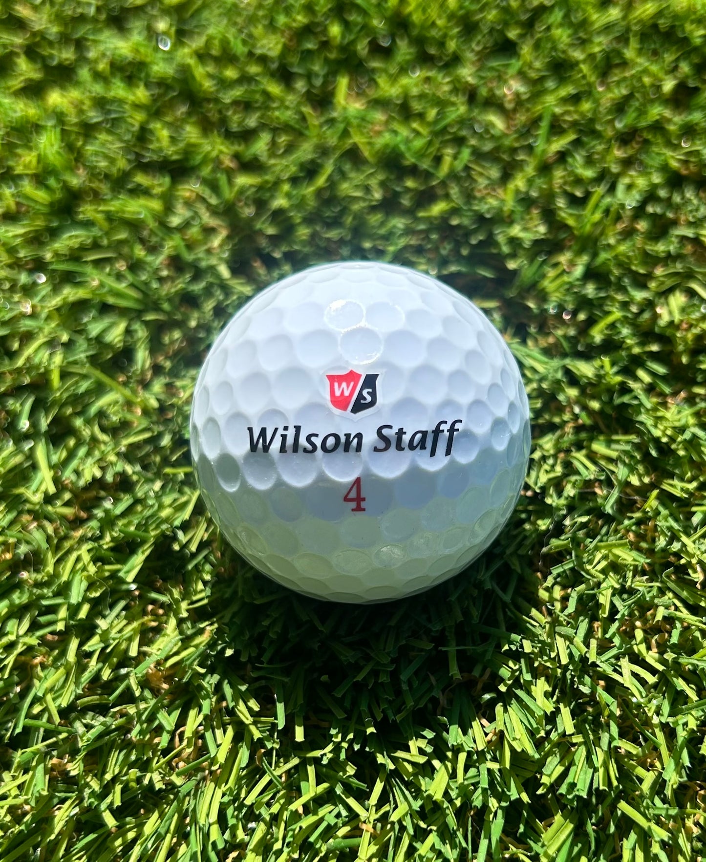 Wilson - 6-pakk